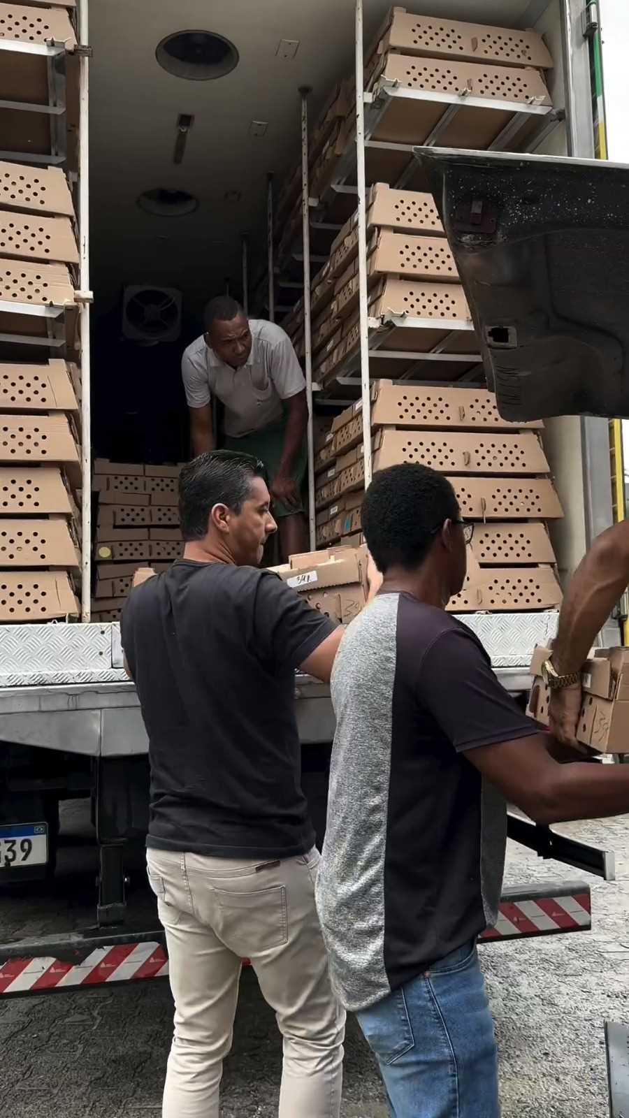 Camacã: Prefeitura distribui cerca de 1.300 pintainhos para produtores do Programa Criação de Galinha Caipira